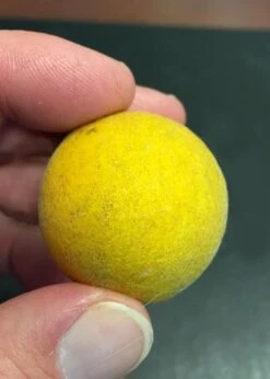 Flying Dragon Hardy Orange Tree - 3 Gallon Pot -FruitTree Store Orange Flying Dragon 6