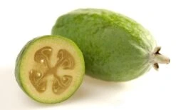 Pineapple Guava - Feijoa Sellowiana - 3 Gallon Pot -FruitTree Store Pineapple Guava Fruit 1