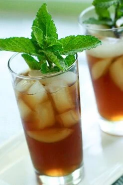 FruitTree Store 44 The Best Spearmint (Mentha Spicata 'Mint The Best)) - 6 Pack Of Pint Pots