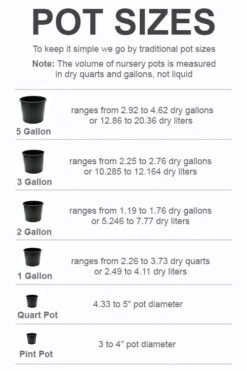 FruitTree Store -FruitTree Store pot size chart 2022 114
