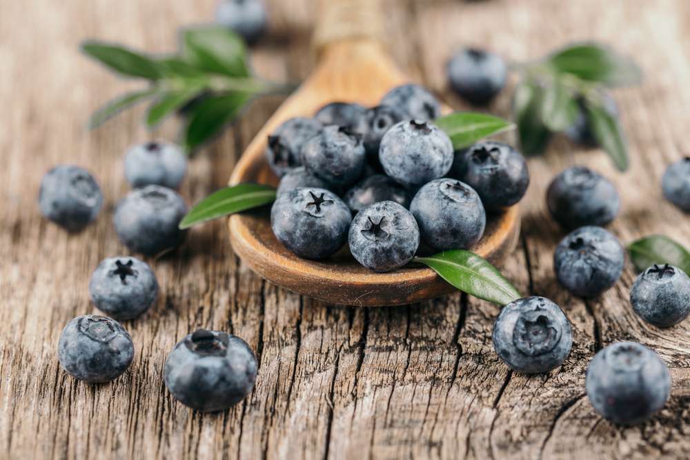 FruitTree Store 10 FruitTree Store -FruitTree Store eee9e15079fe4216b213228ba27a5f66